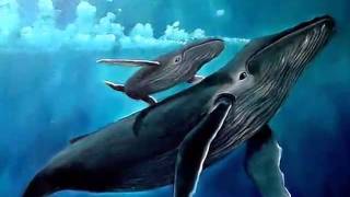 la ballena azul Video1mov [upl. by Mutz377]