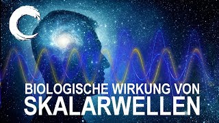 Dr med Johannes Ebbers  Skalarwellen  biologische Wirkung im Experiment und am Menschen [upl. by Lorsung443]