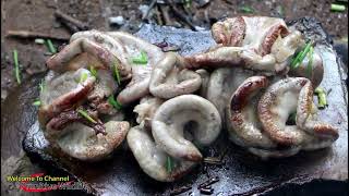 Primitive Technology Awesome Cooking Pig Intestines Recipe Eating delicious [upl. by Herriott297]