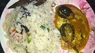 brinjal curry  coconut rice  brinjal coconut milk curry  gutti vankaya curry in telugu [upl. by Kristin]