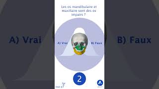 Quiz sur anatomie du crâne humain  partie 1 [upl. by Eeruhs]