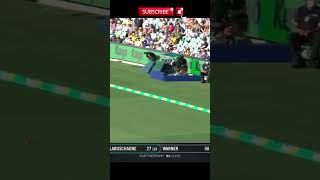 Beauty of Marnus Labuschagne foryou trendingshorts cricketshorts cricket trending [upl. by Ledif]