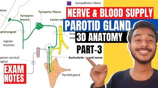 Parotid Gland  Parotid mould or Bed  Parts  Relations  Blood supply  Secretomotor Pathway [upl. by Nazario]