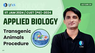 Transgenic Animals Procedure  Applied biology  IIT JAM  CUETPG2024  L 24 [upl. by Suiramad]