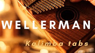 WELLERMAN  Sea Shanty Nathan Evans  kalimba cover [upl. by Minette]