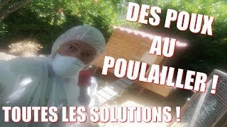 DES POUX AU POULAILLER  Les solutions [upl. by Miki515]