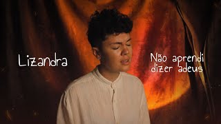 Lizandra  Não aprendi dizer adeus Lyric Video [upl. by Attaymik]