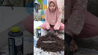 Nanam gitu capekkk  berkebun gardening youtubeshorts [upl. by Ahsoym]