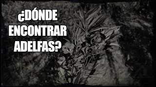 Red Dead Redemption 2  ¿Dónde encontrar Adelfas Desafío de Herbolario Nivel 8 [upl. by Albin]