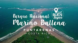 Costa Rica Parque Nacional Marino Ballena Uvita Qué buen lugar [upl. by Truk]