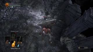 Dark Souls 3 PVE Parrying  Black Knight [upl. by Dagall]