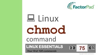 Linux chmod command summary with examples [upl. by Amsed]