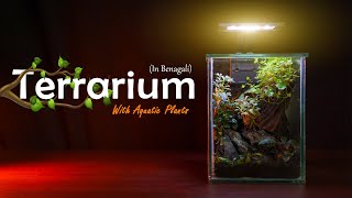 Terrarium Making With Aquatic Plants🍀 খুব সহজে বানিয়ে ফেলুন [upl. by Crofoot]