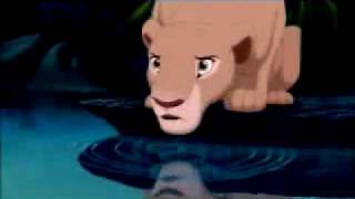 Lion King Recut [upl. by Clemens]