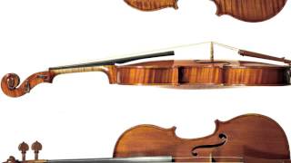 Timothy Lee Violin Selection [upl. by Ettevram]