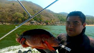 Spearfishing and Civiche Mismaloya Puerto Vallarta [upl. by Etrem]