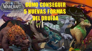 Como conseguir 5 FORMAS NUEVAS DEL DRUIDA World Of Warcraft Dragonflight 102 [upl. by Aropizt765]