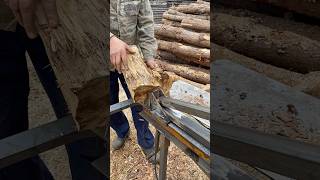 🪓Firewood destroyer acacia cutting🪓 [upl. by Salomone]