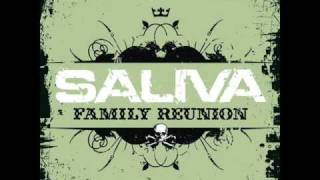 Saliva Family Reunion [upl. by Dadelos350]