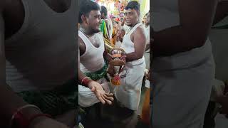 108 Pushpa kavadi tiruchendur 20242 [upl. by Fraya]