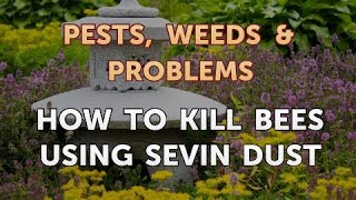 How to Kill Bees Using Sevin Dust [upl. by Yddor658]