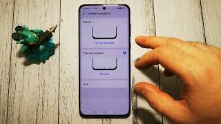 HUAWEI P60 PRO How to hide three buttons menu  Stepbystep Guide [upl. by Herzberg]