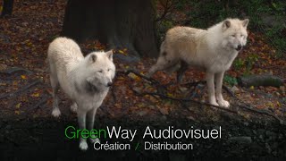 GreenWay Audiovisuel à la hauteur de vos projets [upl. by Auoh]