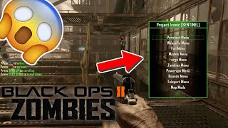 How To Download A Plutonium BO2 Mod Menu [upl. by Yrneh743]