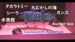 タカラトミーアーツ 大むかしの海 シーラカンス水族館TAKARATOMY Arts Ancient Sea Coelacanth Aquarium [upl. by Nnyletak]