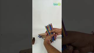 bioQ Plantable Eco Pen Pencil  Grow Plants From Pens amp Pencils  100 Biodegradable [upl. by Yenwat537]