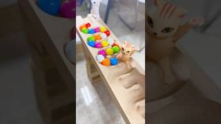 Marble runs with extremely rolling slopes marblerun marblerunrace asmr [upl. by Strephon]