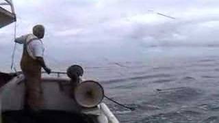 Commercial Albacore Fishing  FVEZ1 [upl. by Otha669]