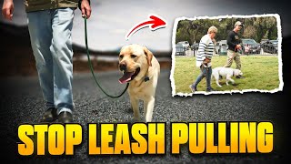 Teach Your PUPPY to STOP Leash Pulling  Easy Puppy Training [upl. by Nnylsia394]