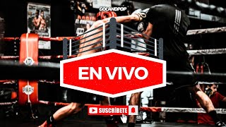 🥊 BOXEO EN VIVO  CKARI CANI MANSILLA VS JEREMÍAS ULIBARRE  LEMOS OGA VS CONRADO RIVADERO [upl. by Vachell608]