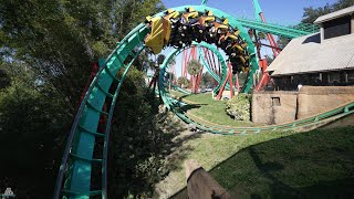 Kumba  POV  Busch Gardens Tampa Bay  Bolliger amp Mabillard BampM  Sitting Coaster [upl. by Alphonsine]