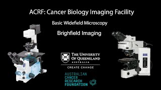 08 Widefield Microscopy Training Brightfield Imaging [upl. by Ehud]