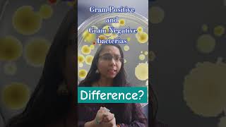 What are the differences between Gram positive and gram negative bacteria 🦠  icmrjrf csirnet [upl. by Sirrap566]