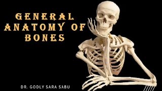 GENERAL ANATOMY OF BONES anatomy bones osteology generalanatomy [upl. by Esela]