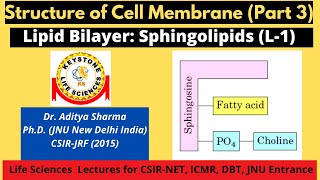 Structure of Cell Membrane Part 3 Lipid Bilayer Sphingolipids L1 By Dr Aditya Sharma [upl. by Ecinnej819]