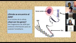 ÁCIDOS NUCLEICOS [upl. by Borgeson]