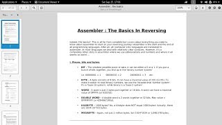 Assembler  The Basics in Reversing [upl. by Tracey592]