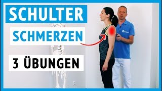 Schulterschmerzen  3 Übungen für zuhause einfach [upl. by Noicpecnoc]