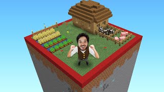 MINECRAFT MAS EU NÃO POSSO SAIR DESSE QUADRADO [upl. by Galateah]