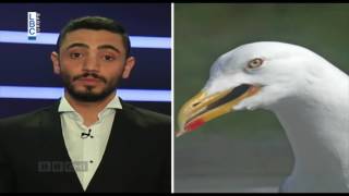 BBCHI Episode 14 عباس نزل على الأرض ماهي ردة فعل الشارع اللبناني على المحاصصة النفطية؟ [upl. by Ydak]