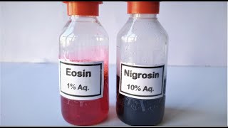 Eosin Nigrosin Stain preparation [upl. by Mattie]