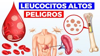 ¿Qué significan los LEUCOCITOS ALTOS causas PELIGROS y cuando acudir con tu médico [upl. by Aicemak]