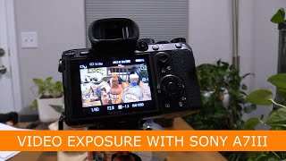 First Look at Sony A7iii and Getting an Exposure with SLog amp the Hypergammas June 2024 [upl. by Amabel138]