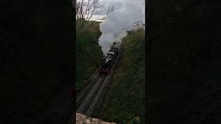 East Somerset Railway on 23rd October 2024 With GWR 4110 Climbing Mendip Bank By Bridge Part 12 👍🙂🚂 [upl. by Rabah]