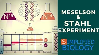 Meselson and Stahl Experiment for NEET AIIMS JIPMER AIPMT MCAT PREMED [upl. by Yebloc701]