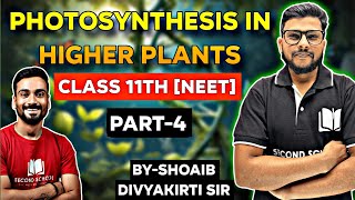 PHOTOSYNTHESIS IN HIGHER PLANTS by SHOAIB SIR [upl. by Bond]